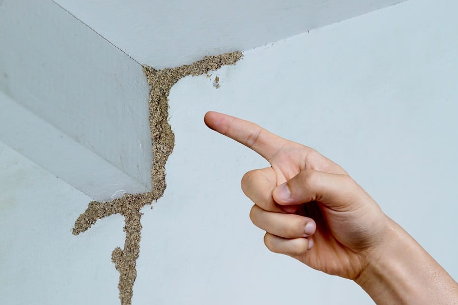 Termite-Proofing Your Home